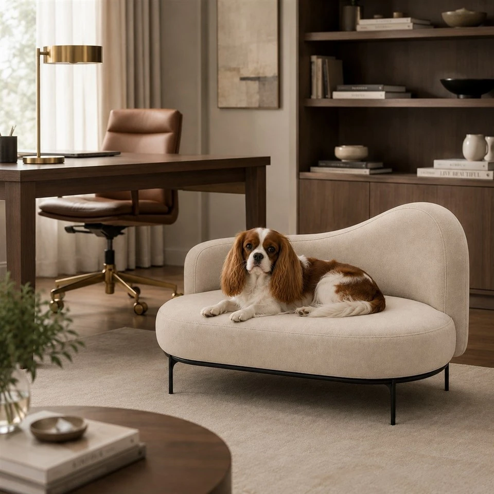 Curved Modern Pet Sofa Bed best