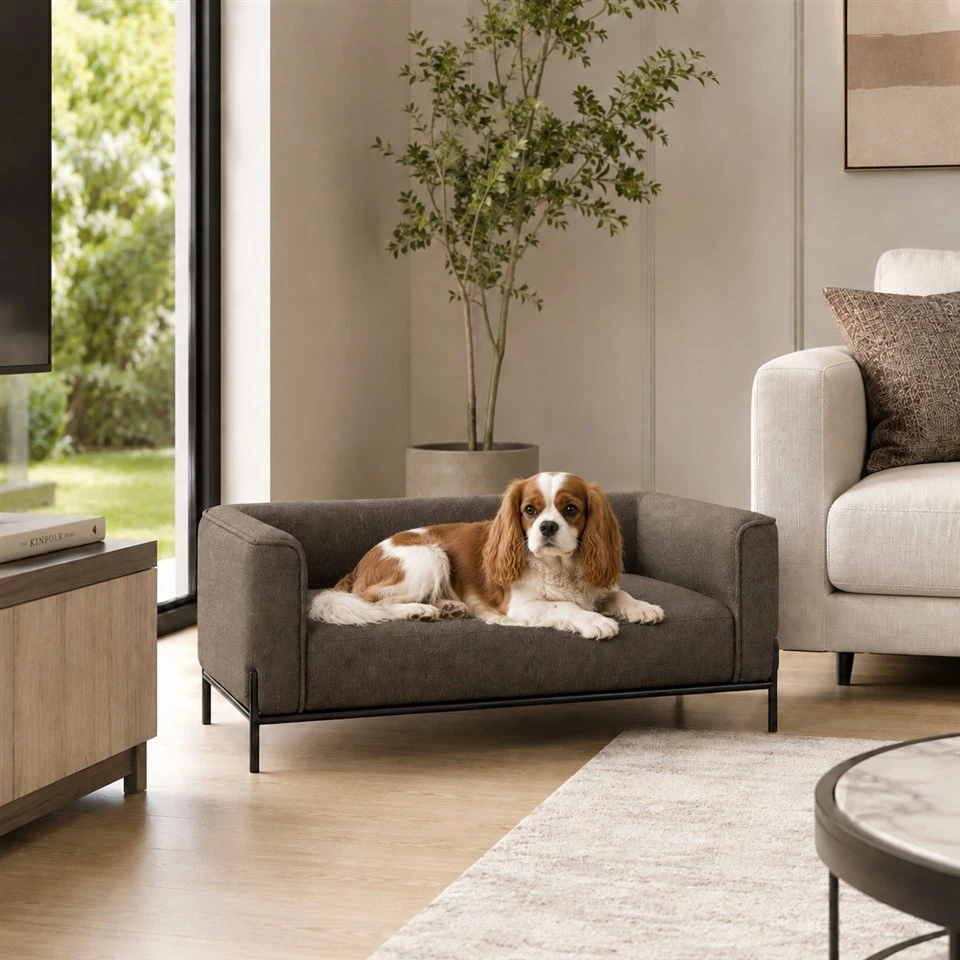 Minimalist Grayish Brown Pet Sofa high quality