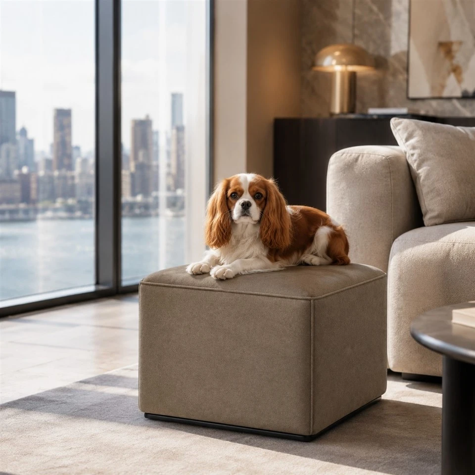 Modern Pet Ottoman Bed high quality
