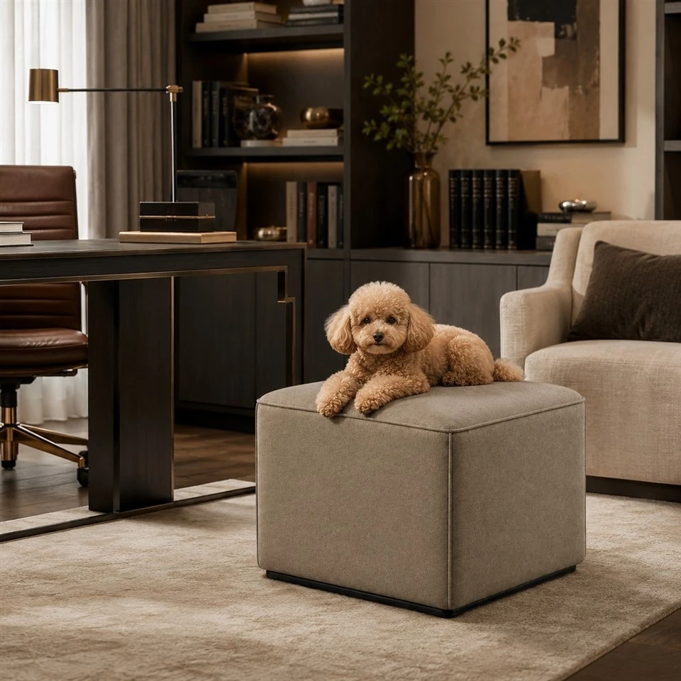 Modern Pet Ottoman Bed best