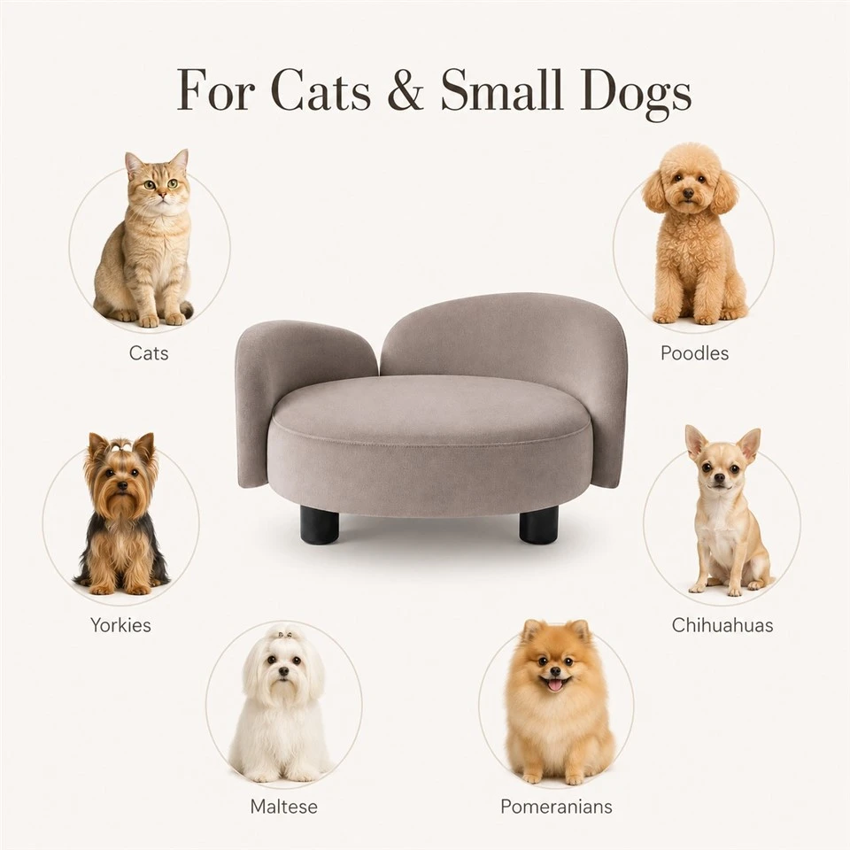 Modern Pet Sofa Bed factory
