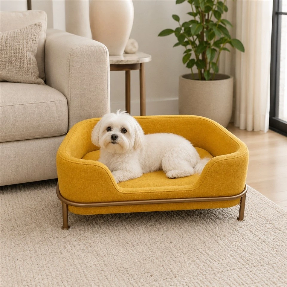 Yellow Luxury Pet Sofa Bed best